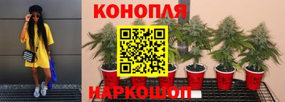 дистиллят марихуана Пугачёв
