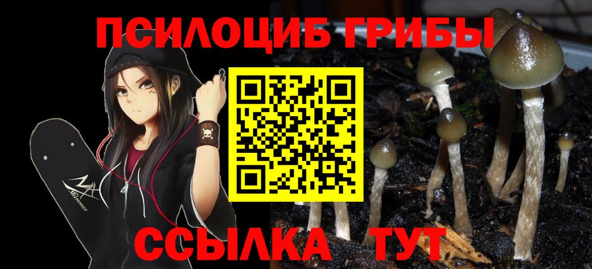Галлюциногенные грибы Psilocybe  Вход с VPN  Славянск-на-Кубани 